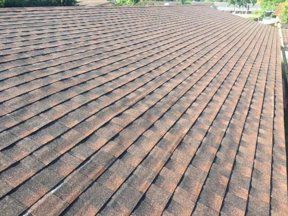 Slide of Paula Roofing