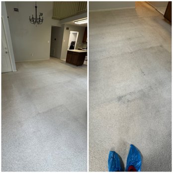 Go 2 Steam - Carpet cleaning - Carpet Cleaning Near Me