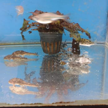 Walmart - fish tanks @ walmart - Department Stores Near Me - Chula Vista, California