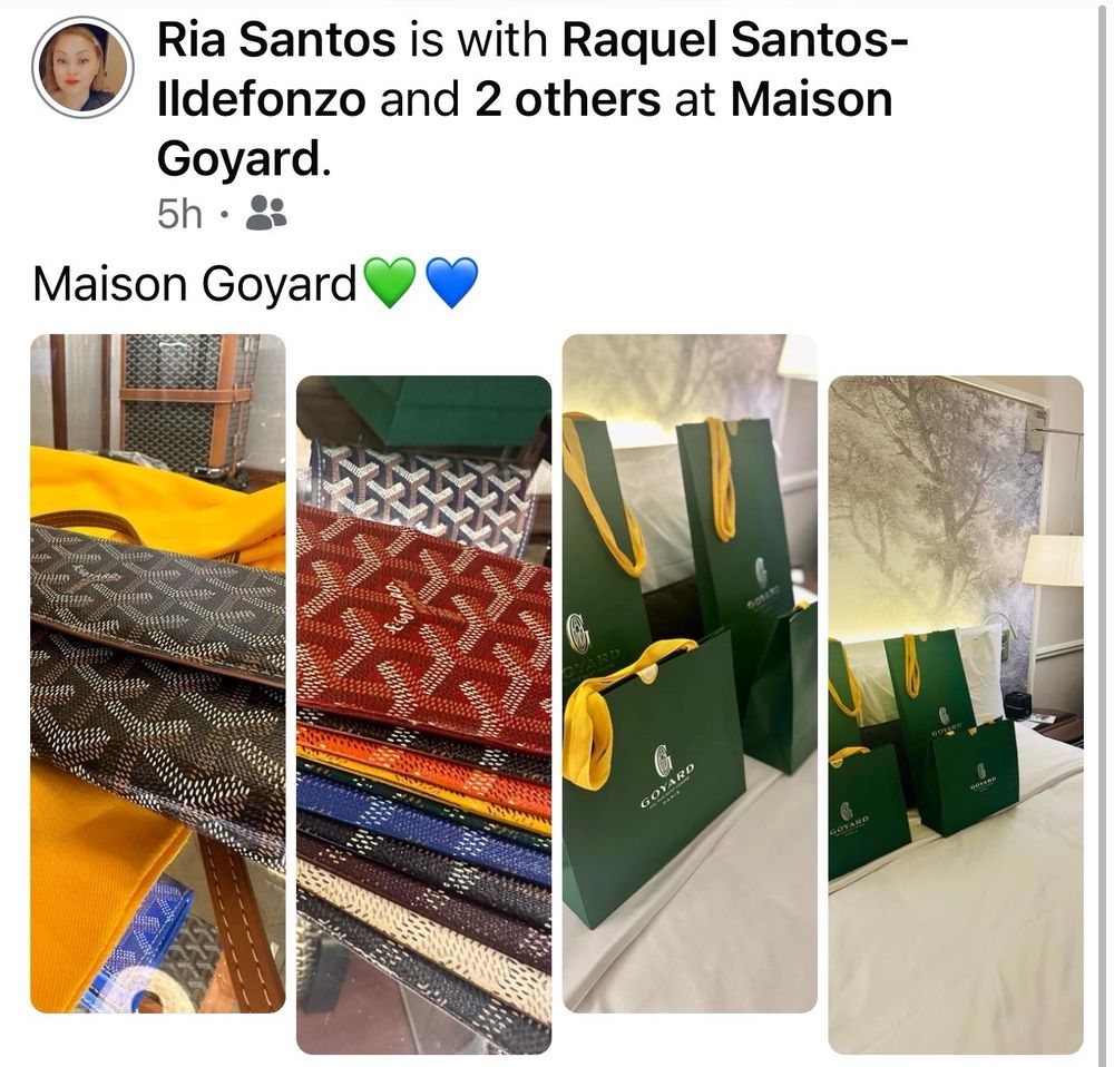 Maison Goyard - Le Chic du Chien