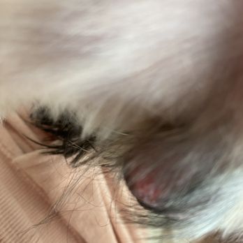 Barkzone- Bethany - Pet Groomers Near Me - Beaverton, Oregon Barkzone- Bethany - Pet Groomers Near Me - Beaverton, Oregon
