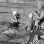 Photo of Temescal Masters Swim Team