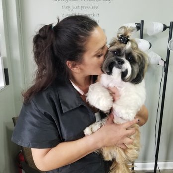 All Dogs Grooming Honolulu - "Master Jedi Puppy Groomer" Melissa shows off my baby Shih Tzu Honey after his grooming session... awesome job! - Pet Groomers Near Me - Honolulu, Hawaii