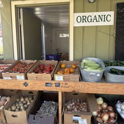 Nature's Touch Nursery and Harvest