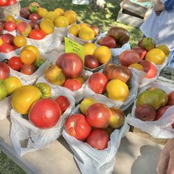 Sara Hardy Farmers Market - Heirloom tomatoes at the market
