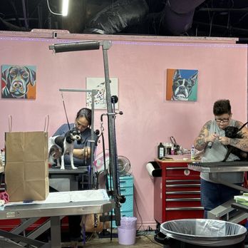 Purrfect Pet Parlor - Haircut and nail trim! - Pet Groomers Near Me - Long Beach, California Purrfect Pet Parlor - Haircut and nail trim! - Pet Groomers Near Me - Long Beach, California