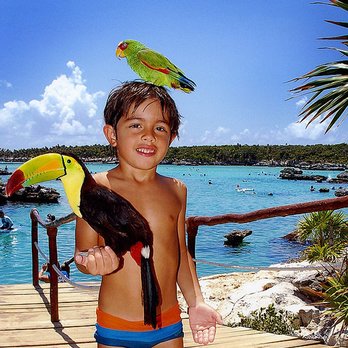 Sensation Tours - Family Plan Islamorada (Full day) - Tours Near Me - Miami, Florida Sensation Tours - Family Plan Islamorada (Full day) - Tours Near Me - Miami, Florida