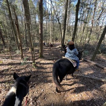 Davy Crockett Riding Stables - Lots of hills to ride up and down! - Horseback Riding Near Me - Townsend, Tennessee Davy Crockett Riding Stables - Lots of hills to ride up and down! - Horseback Riding Near Me - Townsend, Tennessee
