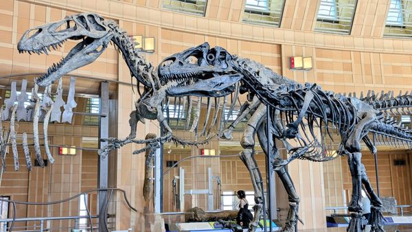 Cincinnati Museum Center by null