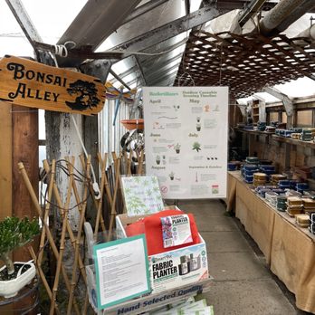 Mischler's Florist - Bonsai pots, bonsai trees, other bonsai supplies - Nurseries & Gardening Near Me - Williamsville, New York Mischler's Florist - Bonsai pots, bonsai trees, other bonsai supplies - Nurseries & Gardening Near Me - Williamsville, New York