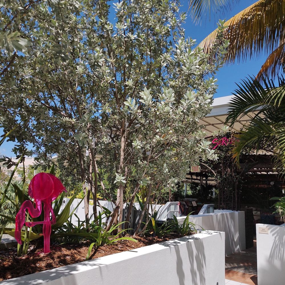 Moxy Miami South Beach - Hotels Near Me - Miami Beach, Florida Moxy Miami South Beach - Hotels Near Me - Miami Beach, Florida