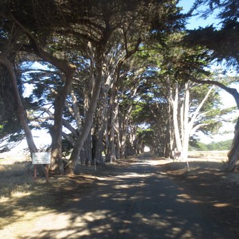 Cypress Tree Tunnel - Parks Near Me - Inverness, California Cypress Tree Tunnel - Parks Near Me - Inverness, California