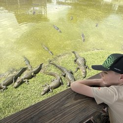 Gator Country