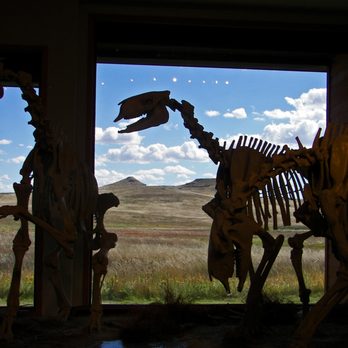 Agate Fossil Beds National Monument - Daeodon - Parks Near Me - Harrison, Nebraska