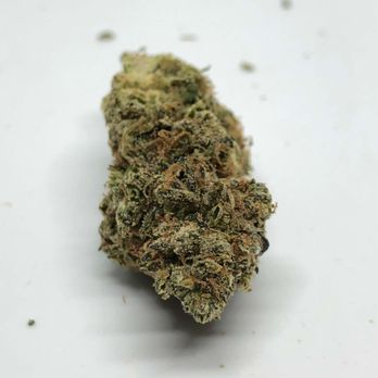 Gentle Touch Collective - Gelato is a powerful hybrid flower made from crossing Sunset Sherbert and Thin Mint Cookies. G Touch Collective's strongest top shelf. - Cannabis Dispensaries Near Me