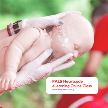 Safety Training Seminars - PALS Heartcode Certification in Hayward - CPR Classes Near Me - Hayward, California