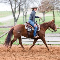 Topwind Ranch