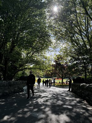 St Stephen's Green by null