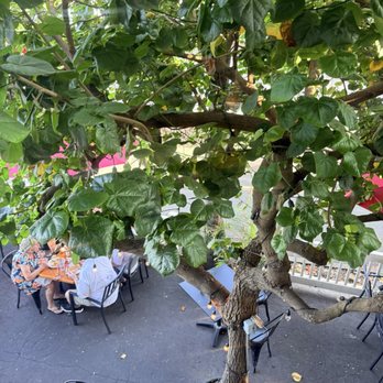 Island Lava Java - American Near Me - Kailua Kona, Hawaii