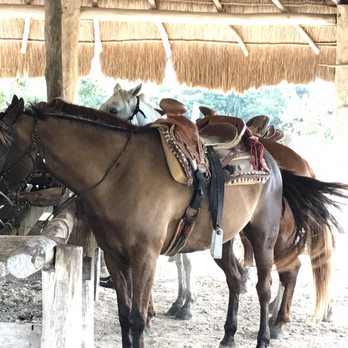Maroma Adventures - Horses - Boating Near Me - Playa del Carmen, ROO Maroma Adventures - Horses - Boating Near Me - Playa del Carmen, ROO