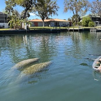 Get Up And Go Kayaking - Crystal River - Rafting/Kayaking Near Me - Crystal River, Florida Get Up And Go Kayaking - Crystal River - Rafting/Kayaking Near Me - Crystal River, Florida