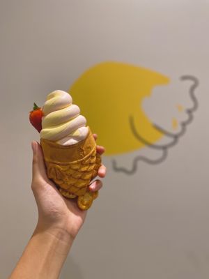 Somisomi by null