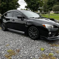 Notorious Auto Protection