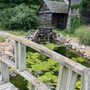 Photo of Stone Cottage Gardens