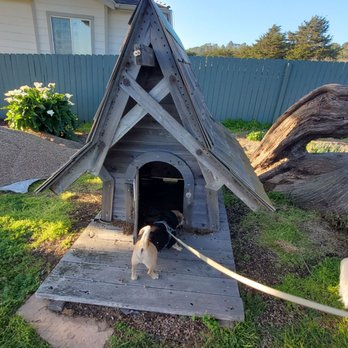 Cambria Shores Inn - Dog house to explore - Hotels Near Me - Cambria, California