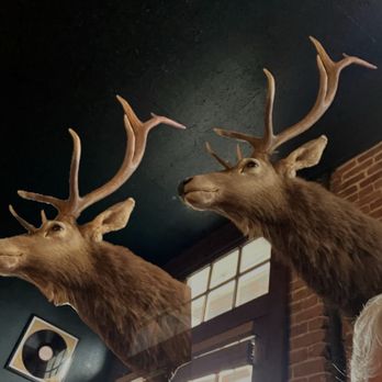 The Copper Plank - elky - Beer Bar Near Me - Medford, Oregon
