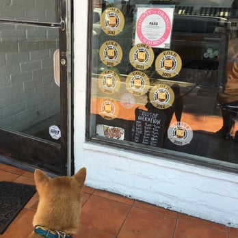 Active Culture - Kona waiting patiently- no dogs allowed in restaurant or on the patio - Vegetarian Near Me - San Clemente, California