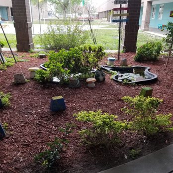 Roland Park Middle School - Eco system - Elementary Schools Near Me - Tampa, Florida Roland Park Middle School - Eco system - Elementary Schools Near Me - Tampa, Florida