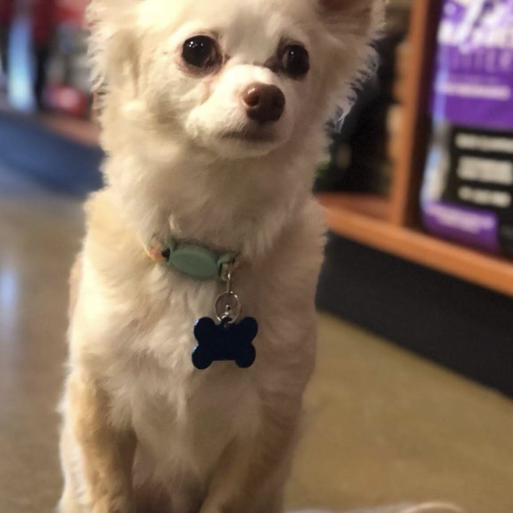 Paws and Claws Aquamation and Memorials - Pet Cremation Services Near Me - Orange, California Paws and Claws Aquamation and Memorials - Pet Cremation Services Near Me - Orange, California