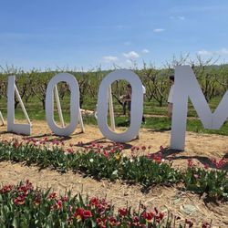 Flinchbaugh’s Orchard & Farm Market