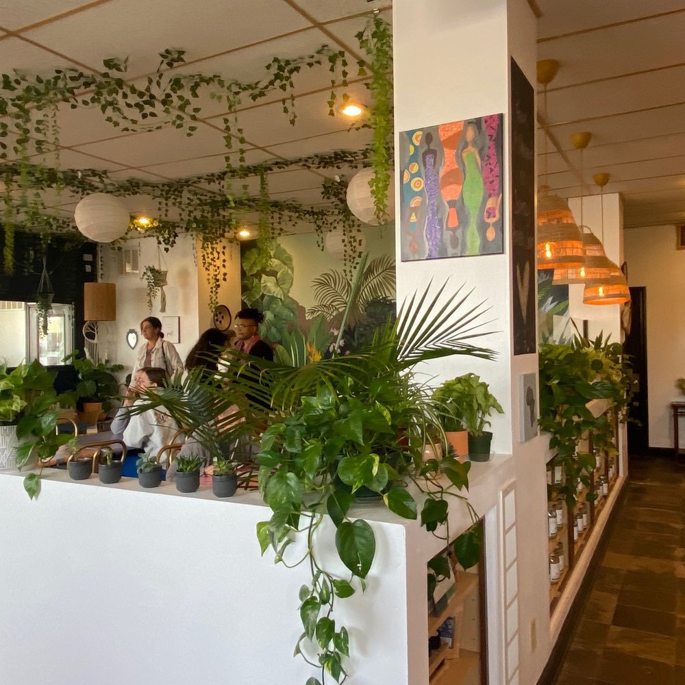 Heal - So many plants! - Juice Bars & Smoothies Near Me - Minneapolis, Minnesota Heal - So many plants! - Juice Bars & Smoothies Near Me - Minneapolis, Minnesota