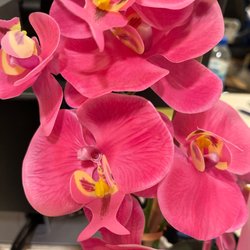 Sunil Bhoyrul, MD - Flowers