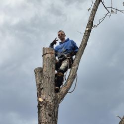 Kidwell & Son's Tree Service