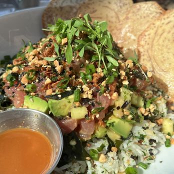 Lure Fish House - Ahi Poke Bowl - Seafood Near Me - San Luis Obispo, California Lure Fish House - Ahi Poke Bowl - Seafood Near Me - San Luis Obispo, California