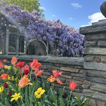 Dumbarton Oaks - Botanical Gardens Near Me - Washington, DC, District of Columbia