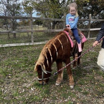 Cathy's Critters - Petting Zoos Near Me - Princeton, Texas Cathy's Critters - Petting Zoos Near Me - Princeton, Texas