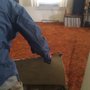 Photo of Crimmins Carpet Services