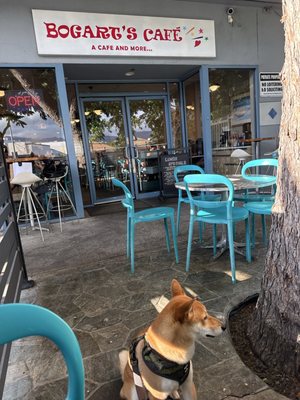 Bogart's Café by null