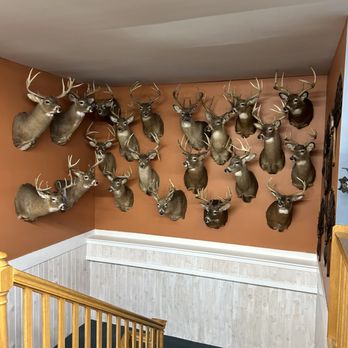 Howell's Indoor Range & Gunshop - Oh no, poor babies - Sporting Goods Near Me - Gray, Maine Howell's Indoor Range & Gunshop - Oh no, poor babies - Sporting Goods Near Me - Gray, Maine