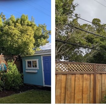 Angeles Tree Service - Before and after of the growth on the shed and into the lines. - Tree Services Near Me Angeles Tree Service - Before and after of the growth on the shed and into the lines. - Tree Services Near Me