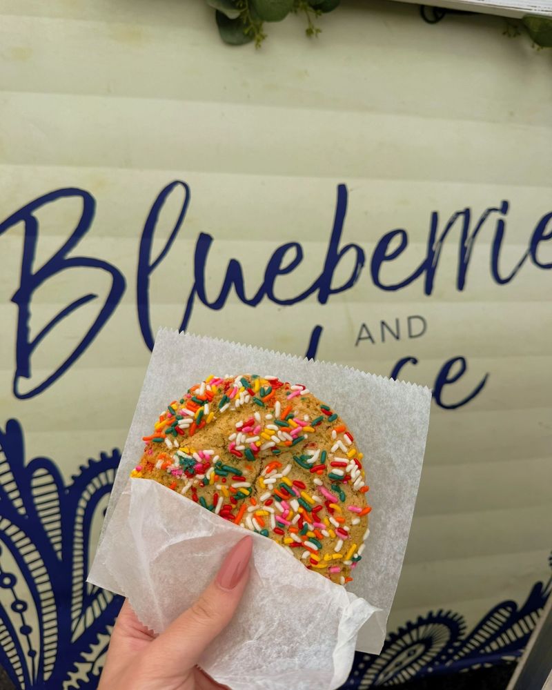 Blueberries & Lace Logo