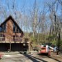 Photo of Vivid Tree Service
