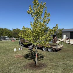 Pierpoint Tree Farm
