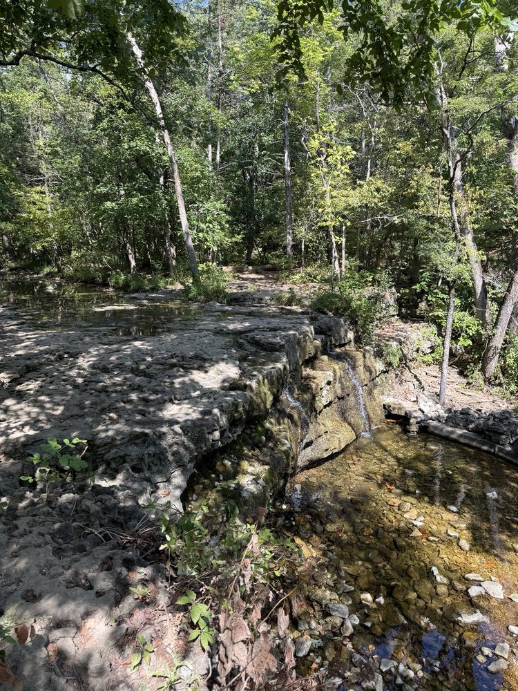 Waterfall Trail Logo