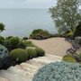 Photo of A Plus Landscaping