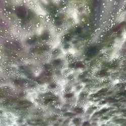 76 - The good old tri-foam cleaning product